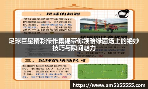 半岛综合体育入口